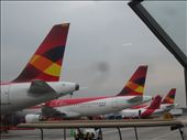 los aviones en route pour Medellin: by alainc, Views[349]