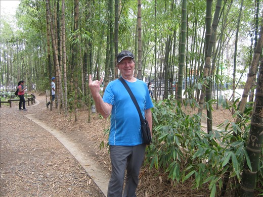 Vous aimez mon bamboo