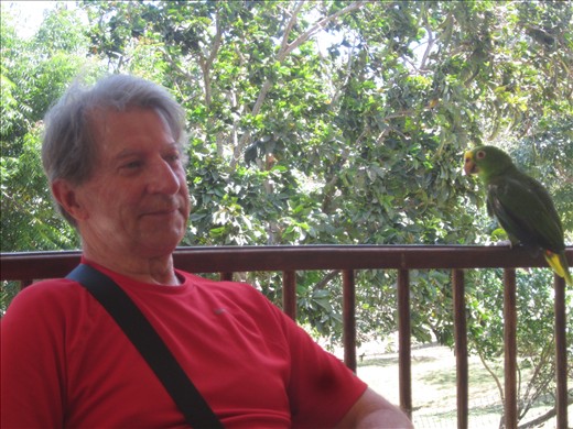 Un loro mal engueulé