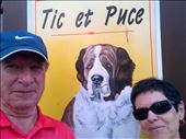 Qui est Tic & qui est Puce: by alainc, Views[424]