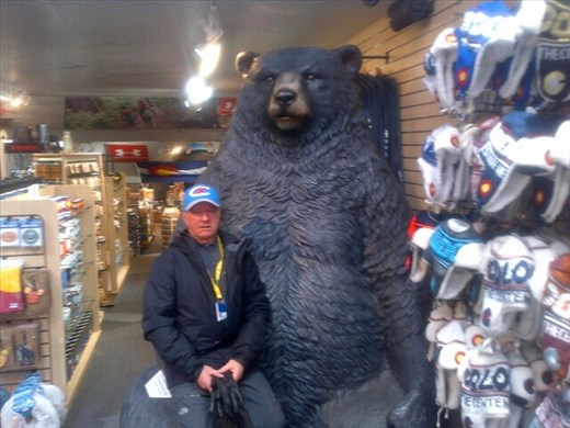 Dans les bras de la mère ours