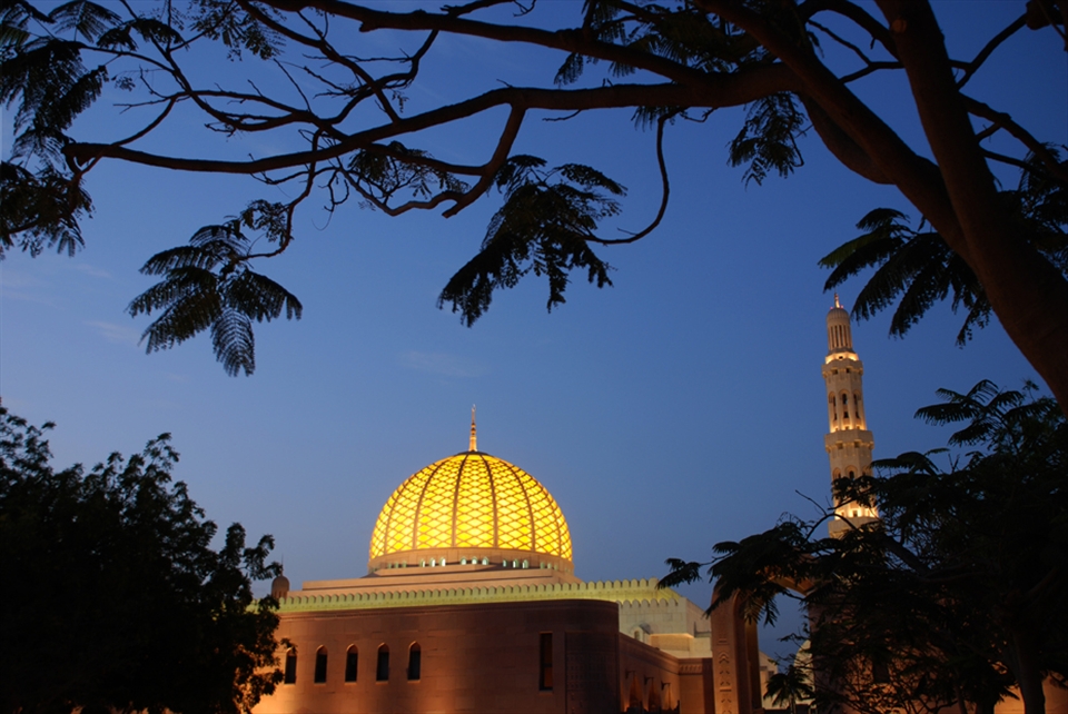 This picture speaks Sultan Qaboos Mosque and the tree is determined to highlight