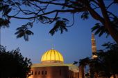 This picture speaks Sultan Qaboos Mosque and the tree is determined to highlight: by alajmi, Views[291]