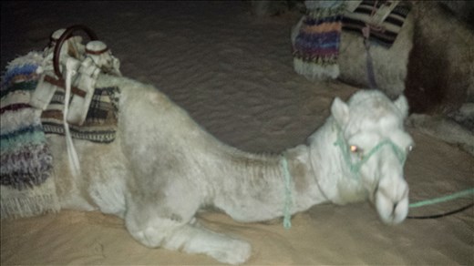 I'll never forget you my friend