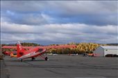 A Beaver bushplane used for glacier landings in Alaska range in Talkeetna: by alaskansummer, Views[285]