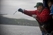 Sport fishing for halibut in Alaska is very popular. Some say it's an experience you'll never forget. Imagine having a 250 lb. angry halibut on the other end of your line with incredible swimming powers. As you reel it in and your arms tire from its brute strength, you wonder just how big this giant behemoth of the deep could possibly be. This could be the best fishing story of your life!: by alaskatrip, Views[589]