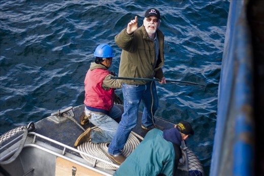 That was like one of the ”Big fish” stories and  captain called for a gaf. ”If it touch the surface it will come to life and make a hard and powerful run back to the bottom often resulting in a lost fish, and that is a verry big one to loose.” he said.
