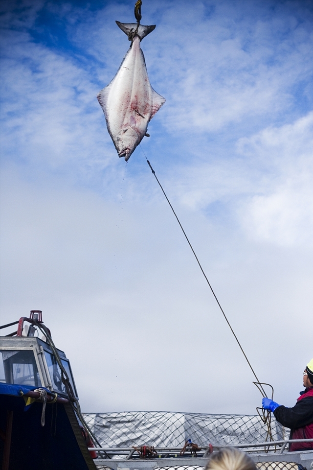 In the whole drama of man Vs fish i saw that ironic moment of a boy playing with his kite, up in the sky.