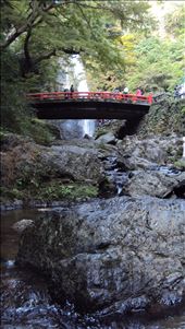 by albert, Views[183]