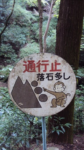 I don't know what this means, but it involves monkeys and rocks!