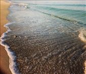 by albudoor, Views[130]