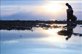 Gon fishin': by aldielias, Views[305]