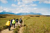 Trekking begins with a few hills and an open savanna with Roraima on the back : by alejandra_loreto, Views[1040]