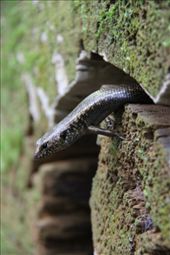 by aleksis, Views[218]