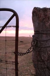 by aleksis, Views[253]