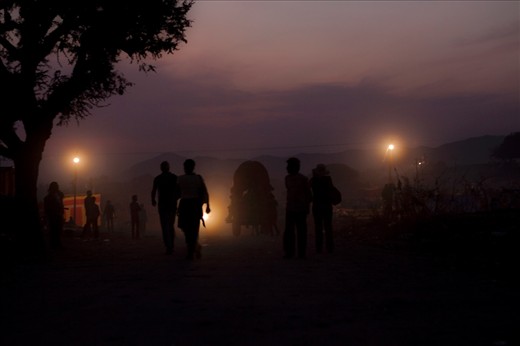 Camel silhouettes at dusk, Pushkar