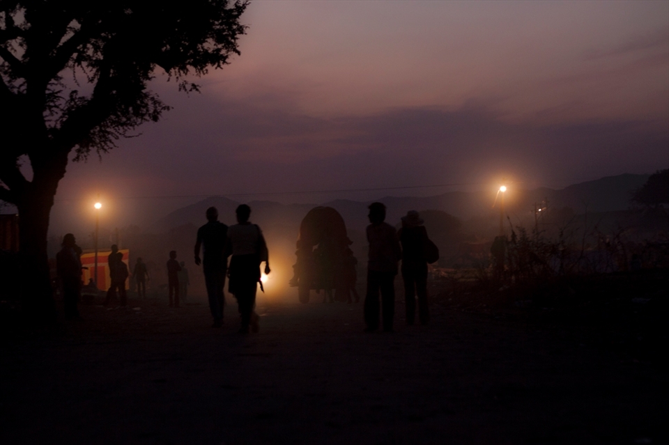 Camel silhouettes at dusk, Pushkar
