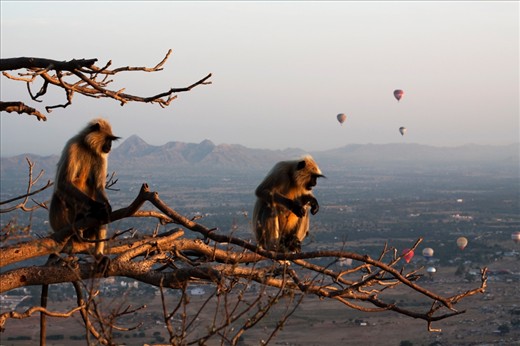 Picture taken during sunrise on top of the hill, Indu temple, Pushkar