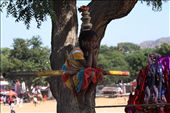 Wainting for a new kermesse, Pushkar: by alessia, Views[316]