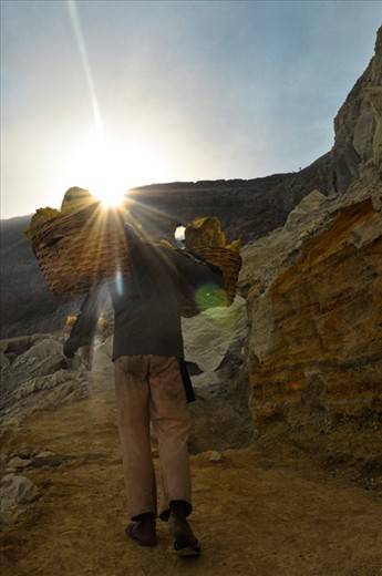 For these sulfur bearers, sulfur means hope.