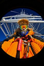 by alexanderkumar, Views[140]