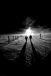 by alexanderkumar, Views[135]