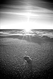 by alexanderkumar, Views[150]