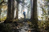 A sub contracted forest firefighter puts out the final flames of a once huge fire: by alexandersmith, Views[330]