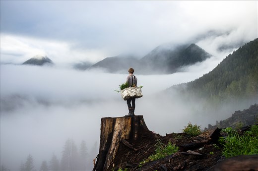 A tree planter looks out over his burnt piece of land with full bags of seedlings