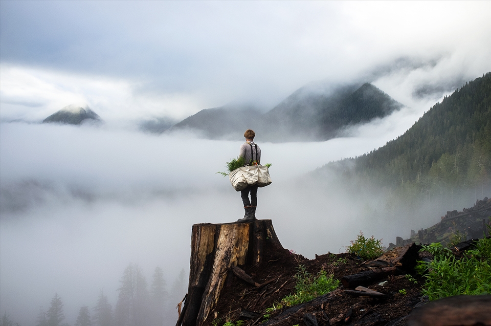 A tree planter looks out over his burnt piece of land with full bags of seedlings