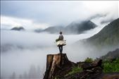 A tree planter looks out over his burnt piece of land with full bags of seedlings: by alexandersmith, Views[281]
