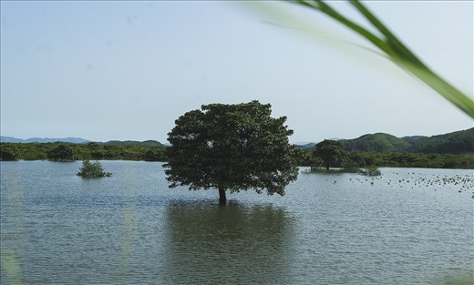on the road to Ha Long.