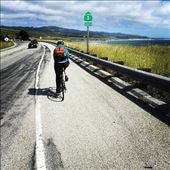 by alexisalive, Views[121]