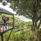 A treehouse is the perfect view for a personal yoga practice. : by alexmarkow, Views[366]