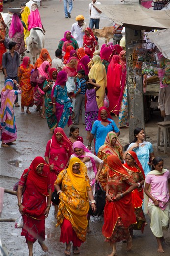 Rajasthani woman moving in colors