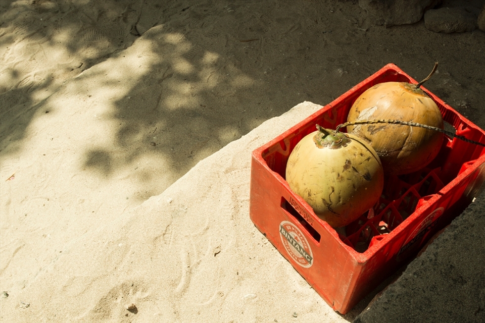 coconut is healthy, but alcohol? yeah, two combined object but different