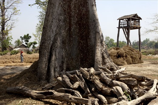 Wildlife observatory. When elephants destroy houses they build them further away