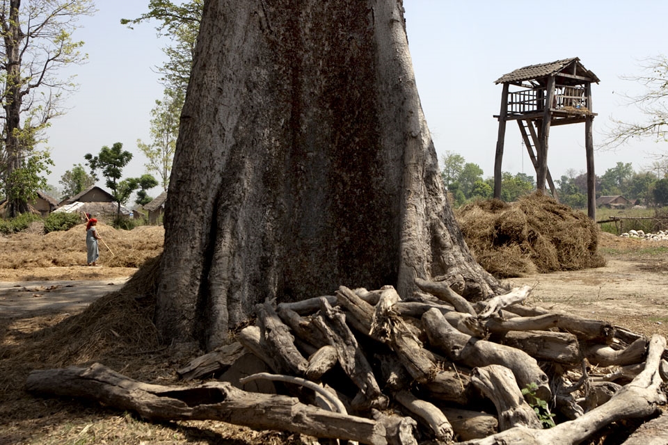 Wildlife observatory. When elephants destroy houses they build them further away