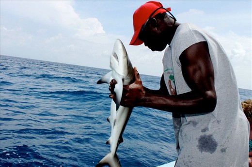 Bert the guy who knows