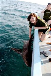 Me and Shark: by alice-in-wonderland, Views[145]