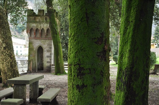 The green thriving moss against the outmoded castle surrounds is just one example of typical italian life-old vs new