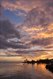 by alicie, Views[125]