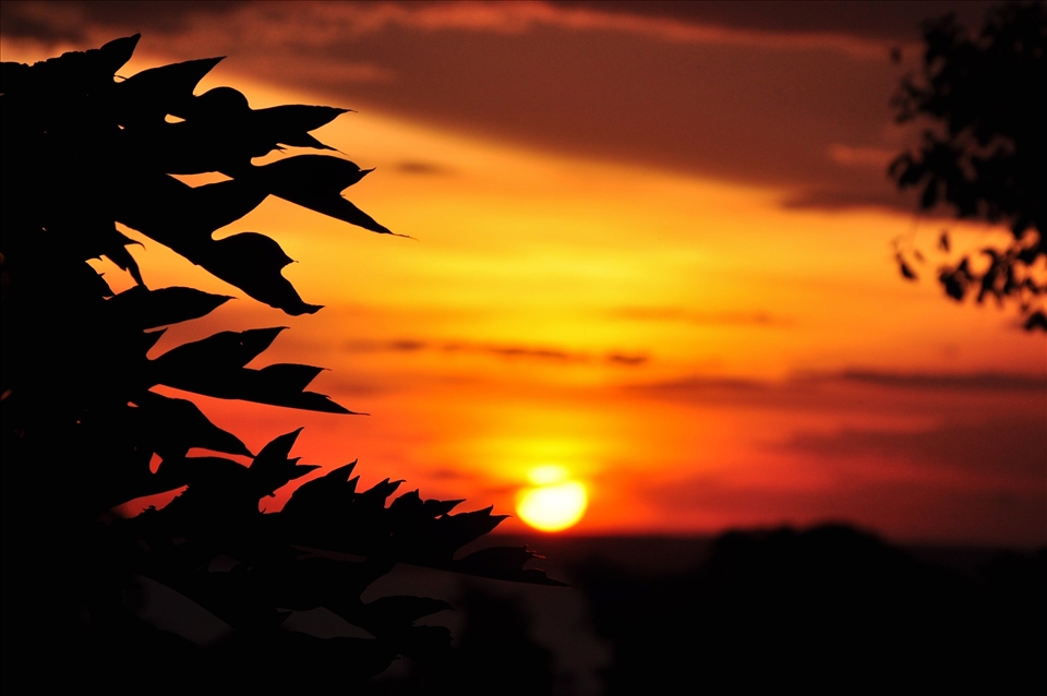 Kenya is the hope of a land in chain, that fights under a sunset of fire