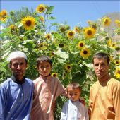 by alimusofer, Views[209]