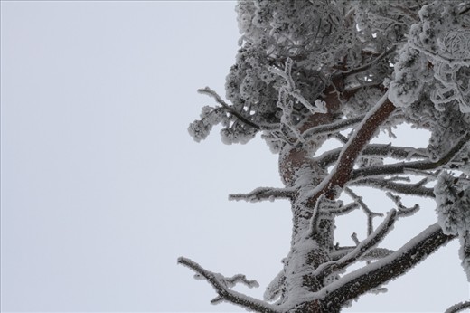 Under cloud cover in the Lower Silesian. Góry Stołowe National Park.