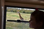 On the bus: by alishamay, Views[335]