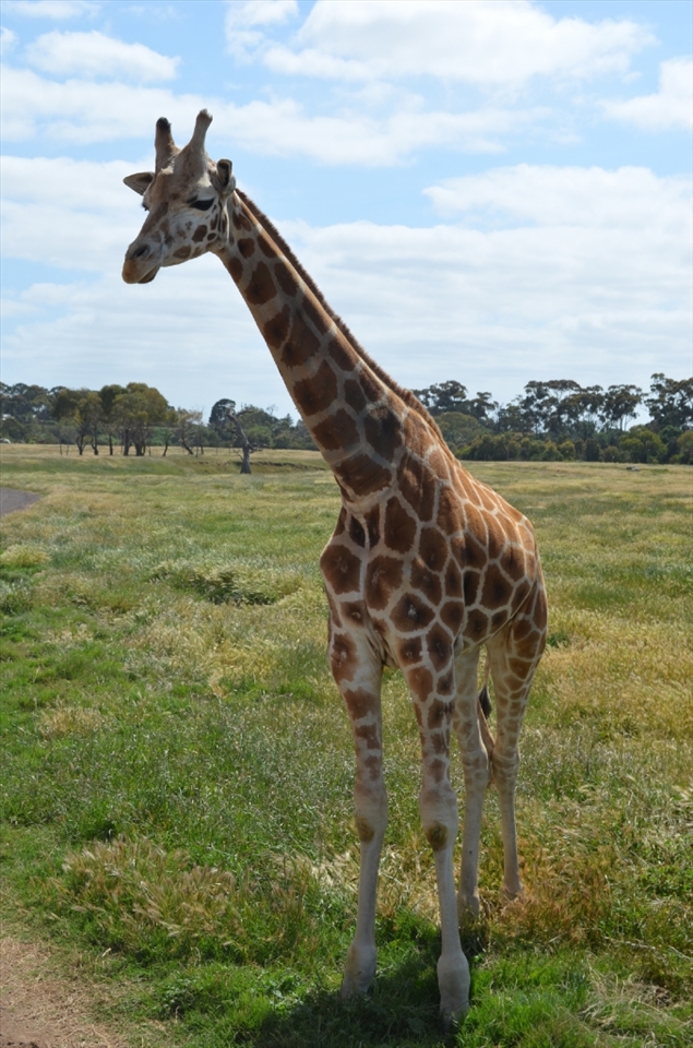 Coming over for a look