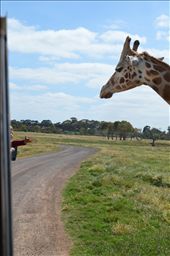 by alishamay, Views[266]