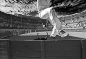 the raseteurs frequently leap out of the arena to avoid the angry bull's horns: by alison_mccauley, Views[361]