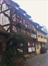 by alisonkarlene, Views[243]